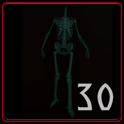 The Headless Skeletons x30