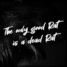 Icon for The only good Rat is a dead Rat
