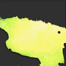 Healer's Certificate