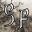 ShadowFalls icon