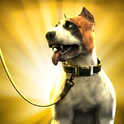 Icon for Hachi