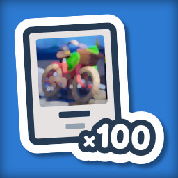 Professional Photographer