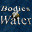 Bodies of Water (VR) icon