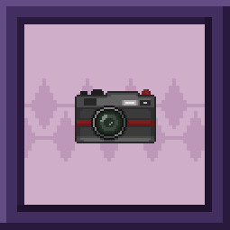 Photographic Camera