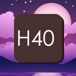 H40