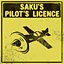 Saku's Pilot's License