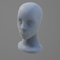 Model Head