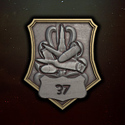 Icon for No ammo wasted