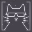 Cool Cat 