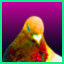 Icon for This Pigeon Won't Fly Anymore