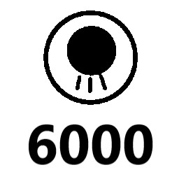 6,000!