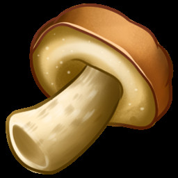 Icon for Magic Mushrooms