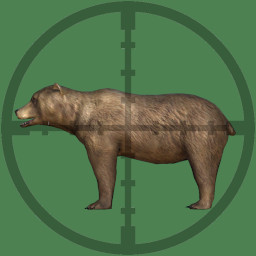 Hunted Bear