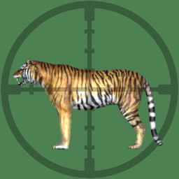 Hunted Tiger