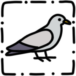 Icon for Find All Seagulls