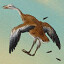 Icon for Bird Botherer