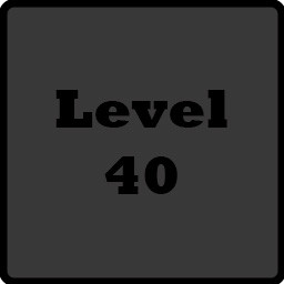 Level 40