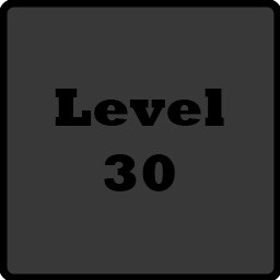 Level 30