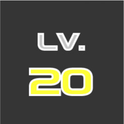 Level 20