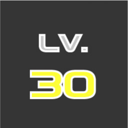 Level 30