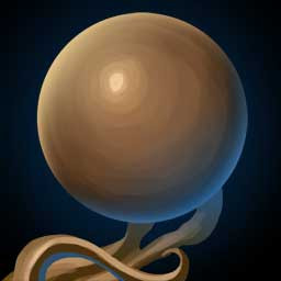 Elemental Orbs deal damage 10 times