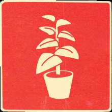 Icon for Make It Your Own