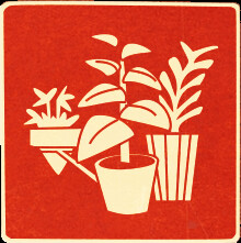 Icon for Decorating Extraordinaire