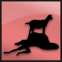 Intentando invocar Sanctum 3?