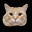 Cat Jumper icon