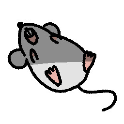 실험실의 쥐
