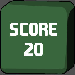 Score 20