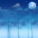 Moonlight Forest