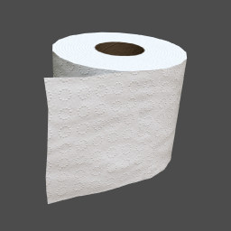 Toilet Paper hoarder