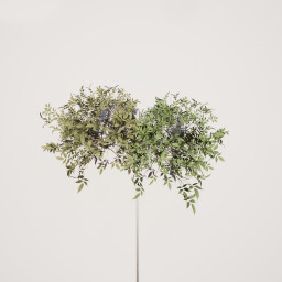 In Search of Solitude