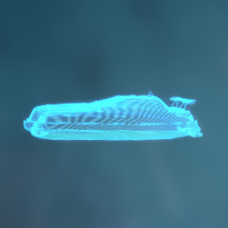Icon for HOVERCAR HOLOGRAM