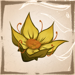 Yellowstar flower I