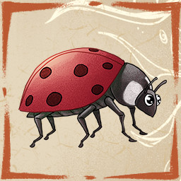 Ladybugs Collection