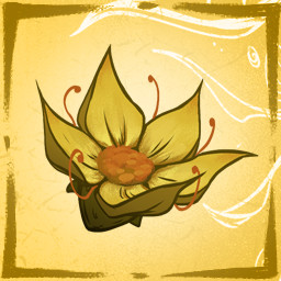 Yellowstar flower III