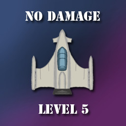 No damage taken level 5