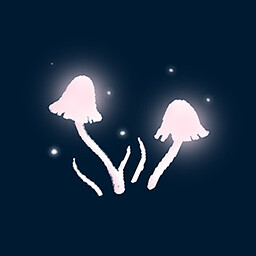 Iluminando la Oscuridad