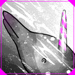 Icon for Unidolfin Adopted