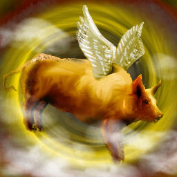 Icon for Off To Pig Heaven