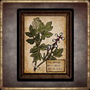 充满邪恶的眼睛