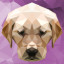 Icon for Level 22