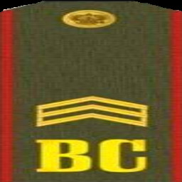 Sergeant