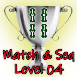 Match Level 4