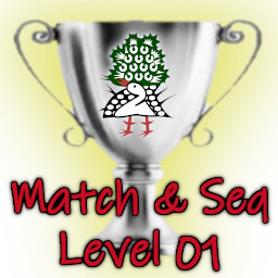 Match Level 1