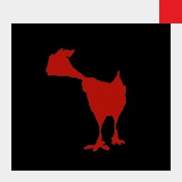 Chicken not leaving the yard