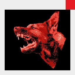 Loyal dogs don't bite their owners.