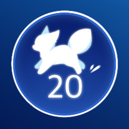 20 Single Run Successful Jumps